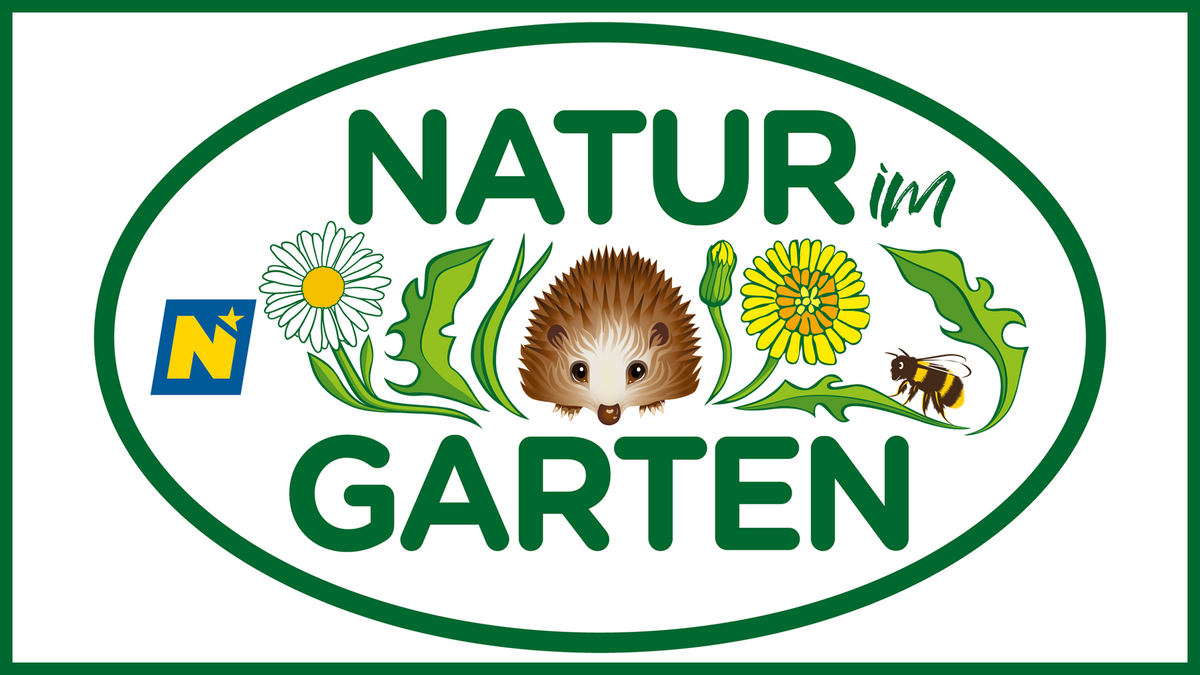 Natur im Garten
